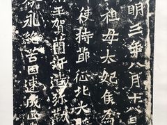 -凤凰中心