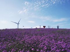 -贵阳市花溪国家城市湿地公园