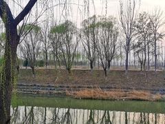 -东郊湿地公园