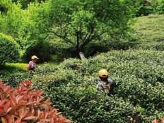 -南京市江宁方山