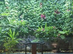 -汉仁宫·古法按摩·足道·SPA(南山中心店)