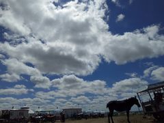 -敕勒川草原文化旅游区