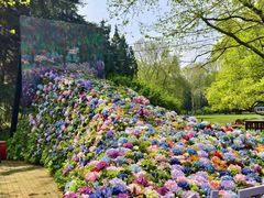 -上海共青森林公园