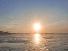 -南汇新城海滩