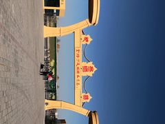 -金塔沙漠胡杨林景区