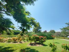 -中国科学院西双版纳热带植物园
