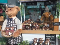 -济州岛泰迪熊博物馆