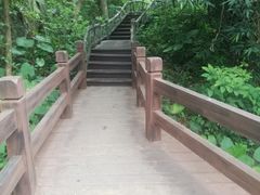 -清溪森林公园