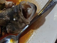 -东鸽皇(奥园·中环广场店)