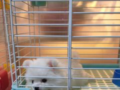 -宠爱我(南山店)