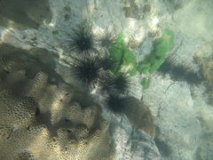 -惠州金海湾嘉华度假酒店