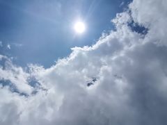 -洛龙公园