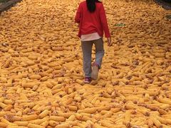 -意大利农场度假村