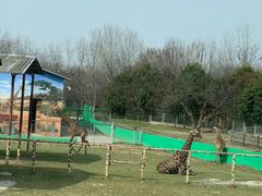 -西安秦岭野生动物园