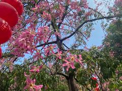 -广州雕塑公园