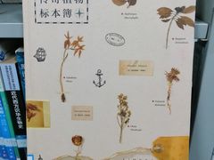 -山东科技大学（青岛校区）-图书馆