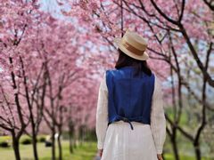 -福建鲤鱼洲酒店