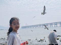 -黑石礁公园