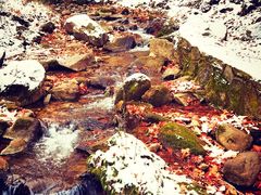 -秦岭终南山世界地质公园翠华山景区