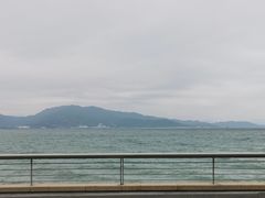 -杨梅坑