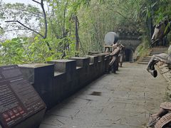 -铁山坪森林公园