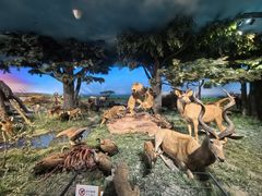 -国家自然博物馆