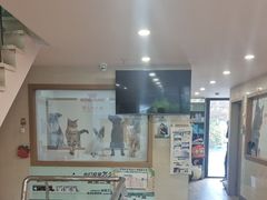 -爱侣·安琦尔宠物医院·中兽医针灸·心内科·狂犬免疫点(宝山区院)