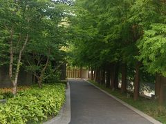 -老外街