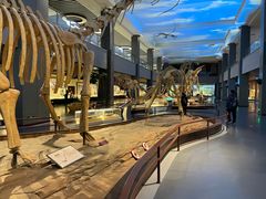 -泉城欧乐堡海洋极地世界