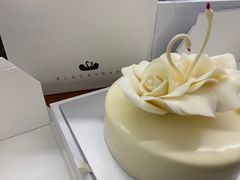 -BLACKSWAN黑天鹅(环球店)