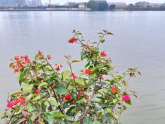 -太古仓码头