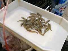 -岳各庄批发市场(西四环中路店)