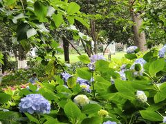 -常州古运河南大街文化旅游区-人民公园