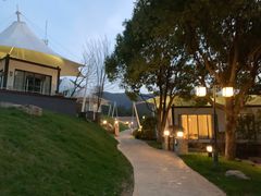 -帐篷客·溪龙茶谷度假酒店