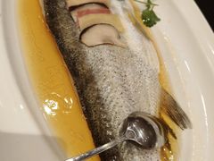 -上海1号私藏菜(黄浦店)