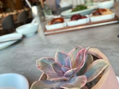 -有璟阁港式餐厅(国贸商城店)