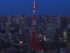 -六本木新城展望台(东京城市景观)