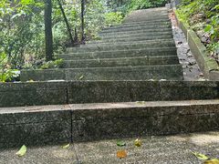 -火炉山森林公园