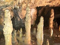 -波斯托伊纳溶洞