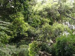 -成都市活水公园