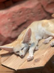 -Zoolung Zoolung动物主题公园(海信广场店)