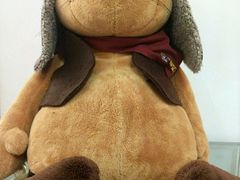 -济州岛泰迪熊博物馆