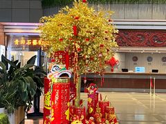 -深圳富临大酒店