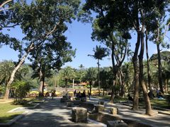 -深圳仙湖植物园