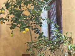 -萤火虫咖啡(后海店)