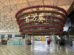 -百万葵园
