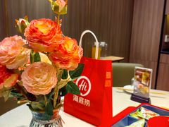 -海底捞火锅(北金鹰店)