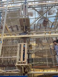 -PIPIKINGDOM皮皮王国欢乐号(欢乐海岸购物中心店)