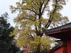 -金堂县云顶石城风景区