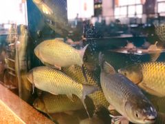 -淘米捞·米汤脆鲩鱼火锅(福田皇岗店)